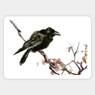 Raven Sticker